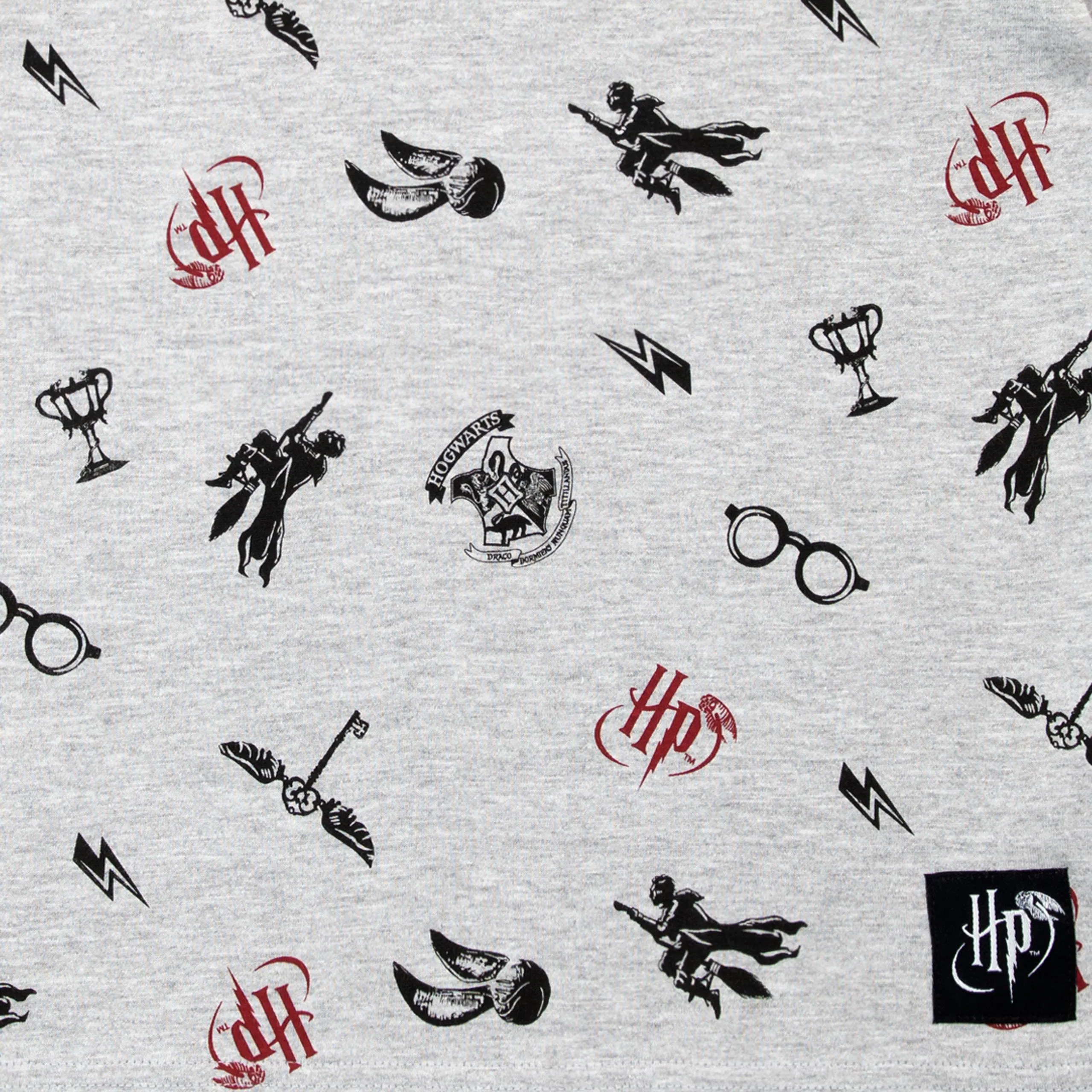 Harry Potter T-Shirt 2 Pack