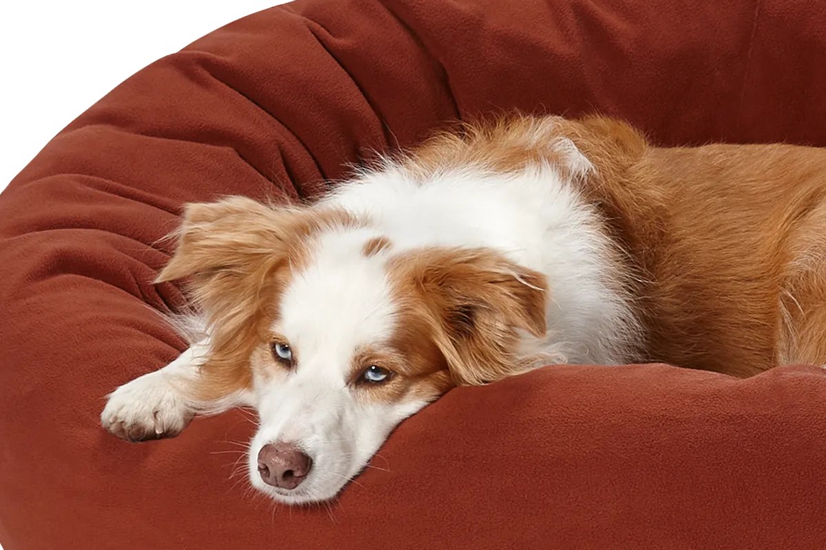 Self-Warming Cuddler Dog Bed